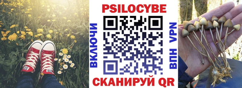 blacksprut как зайти  Куйбышев  Псилоцибиновые грибы прущие грибы 